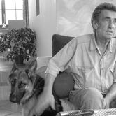 fot. Józef Czerniejewski