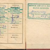 legitymacja  - muzyk kategorii pierwszej ;-)